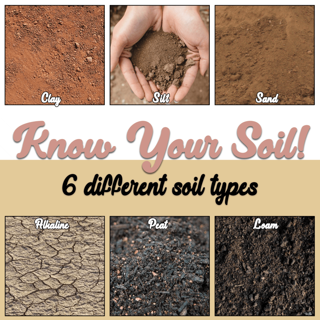 How to identify your garden’s soil type Galora