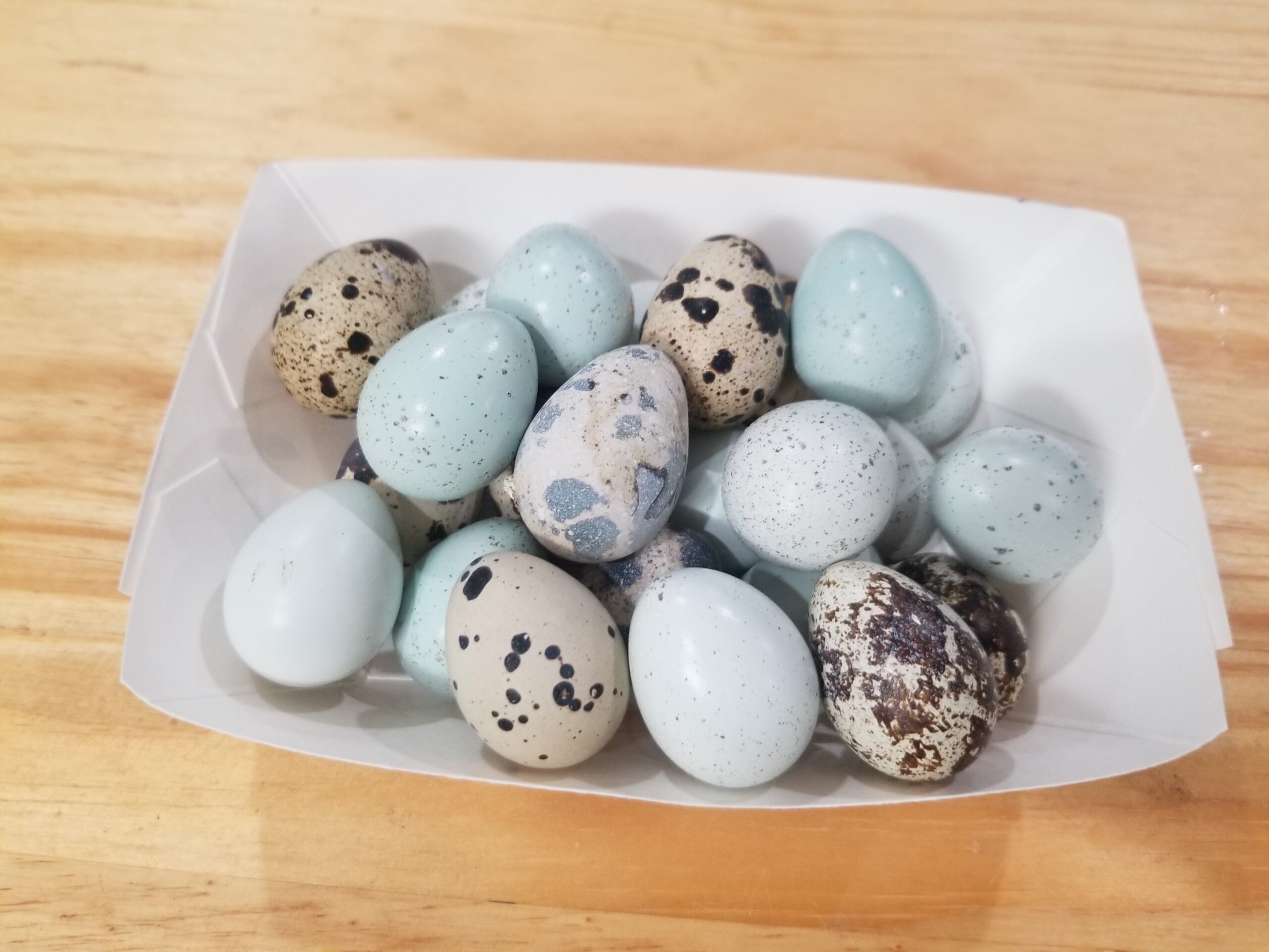 Fresh quail eggs! ( $ or Trade ) – Galora
